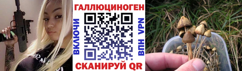 Псилоцибиновые грибы прущие грибы  Александровск 